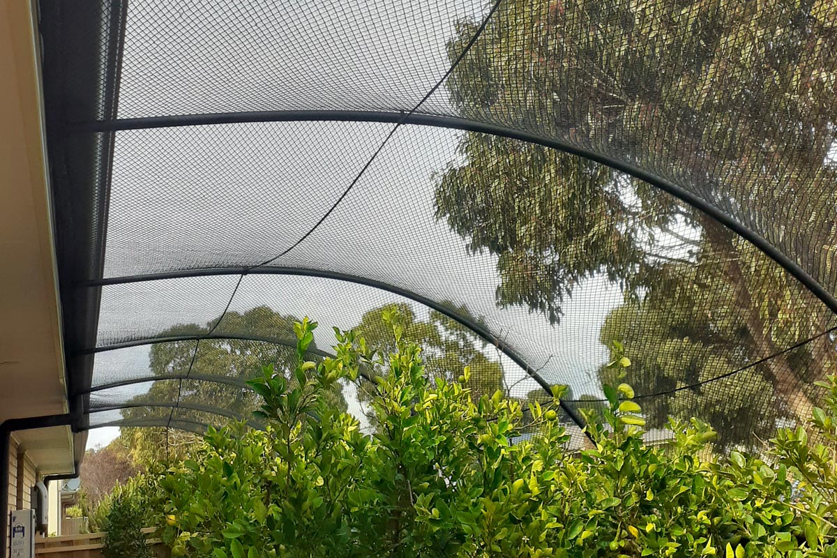 Residential Bird Netting