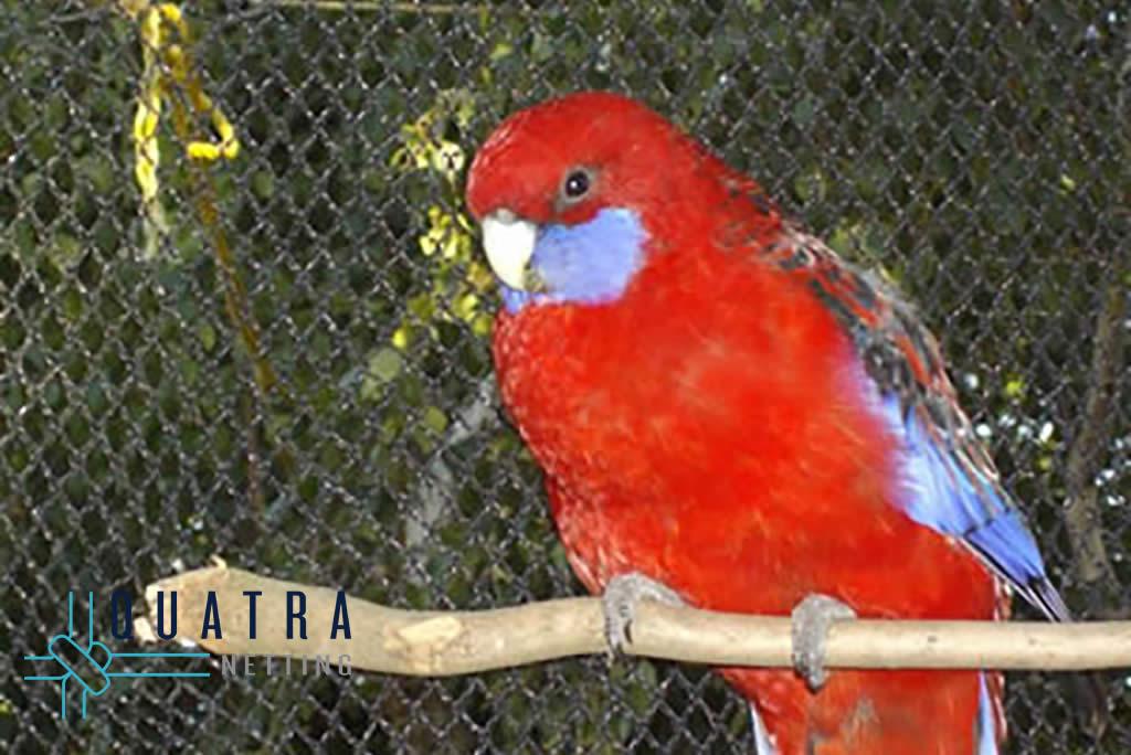 Aviary Netting