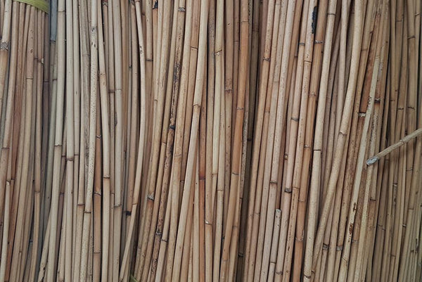 Haverford Natural Rattan Cane 6-10mm