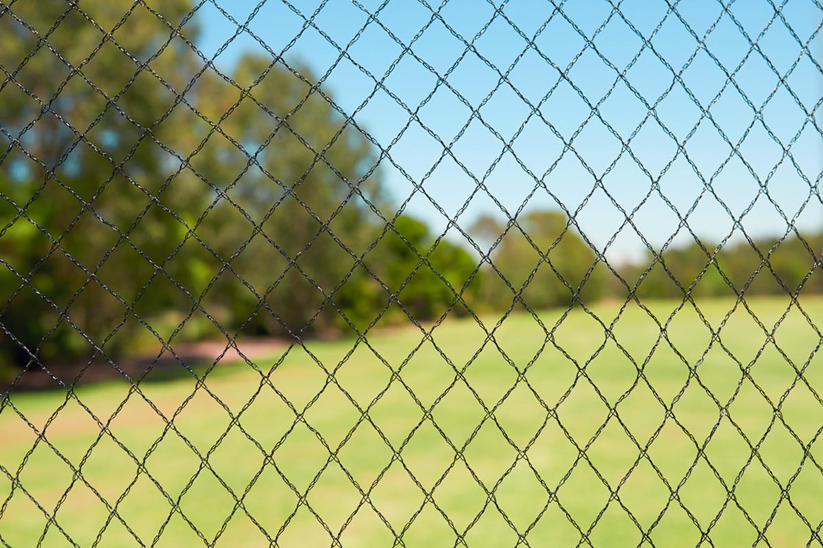 Diamond Mesh Vineyard / Orchard Bird Netting – Haverford