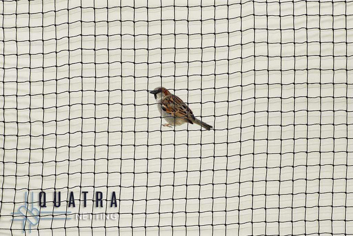 Quatra Bird Netting 19mm 6Ply Knotted SQ HDPE
