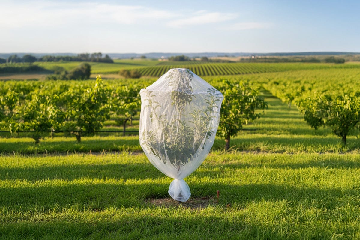 Quatra Bird Netting Insect Net: Fruit Tree Cover