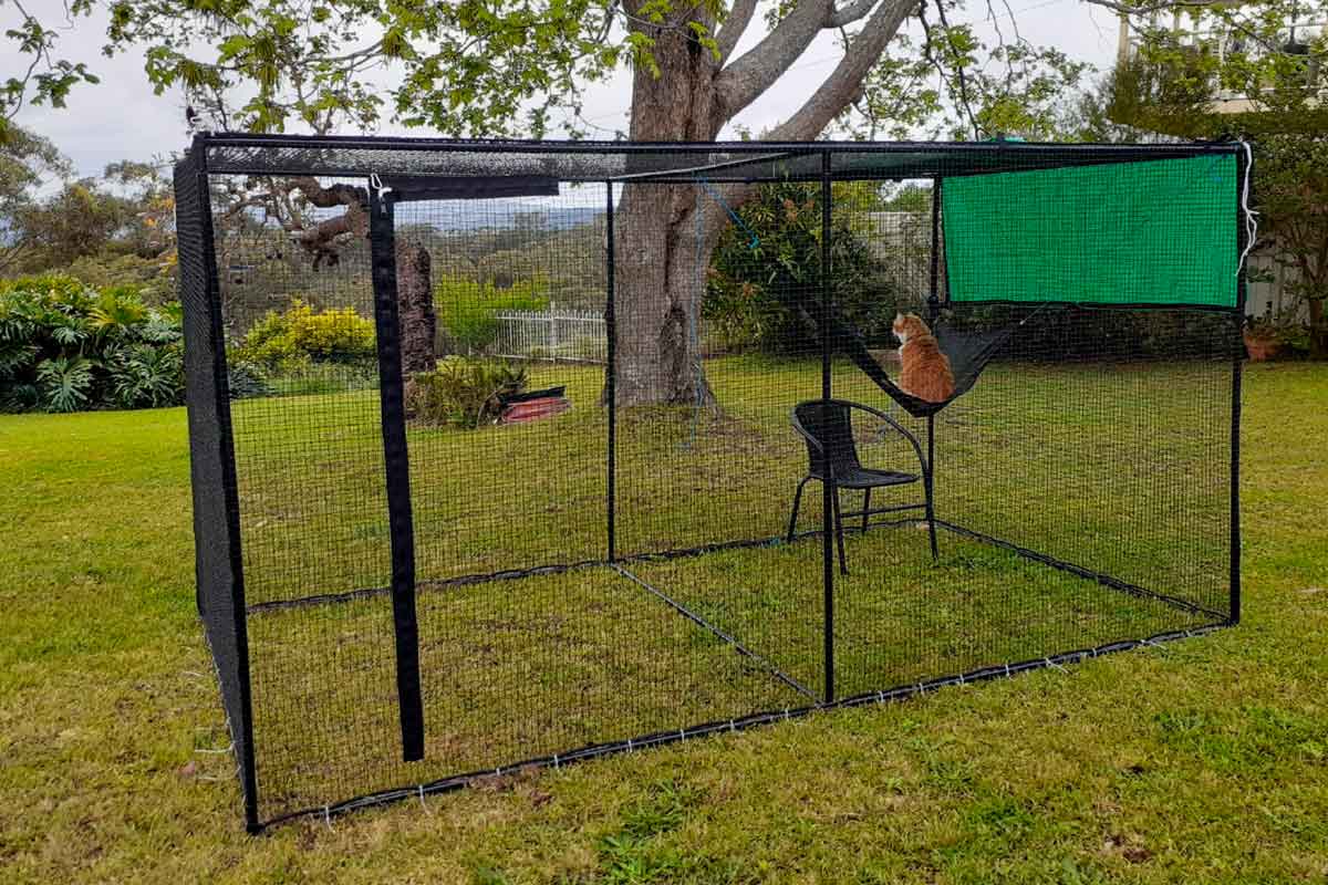 Large Standing Bird Enclosure photo