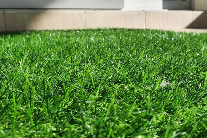 Catnets Cat Toys Artificial Cat Grass - 1.5m x 3m
