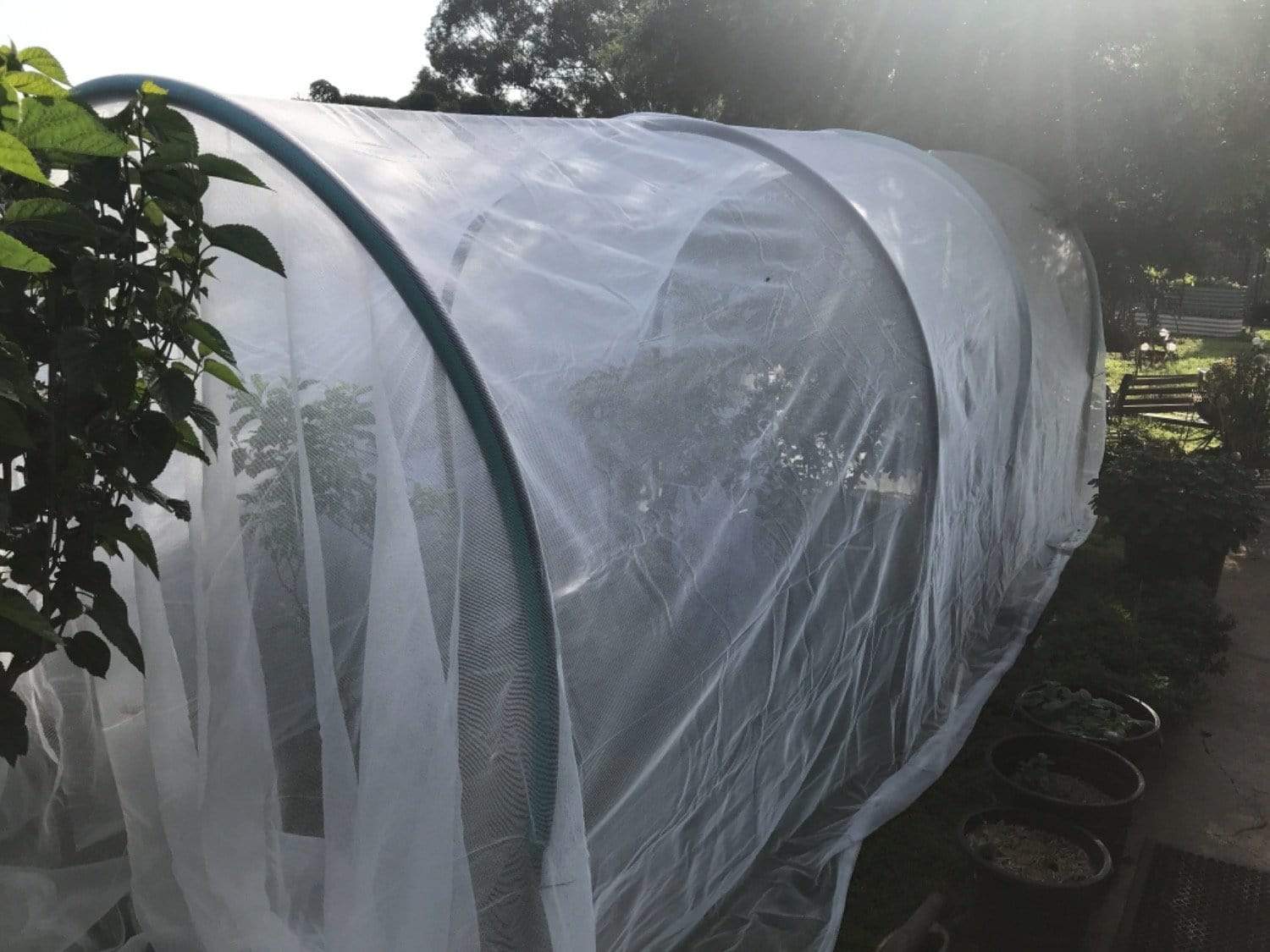 Fruit Fly & Insect Netting 103GSM Haverford