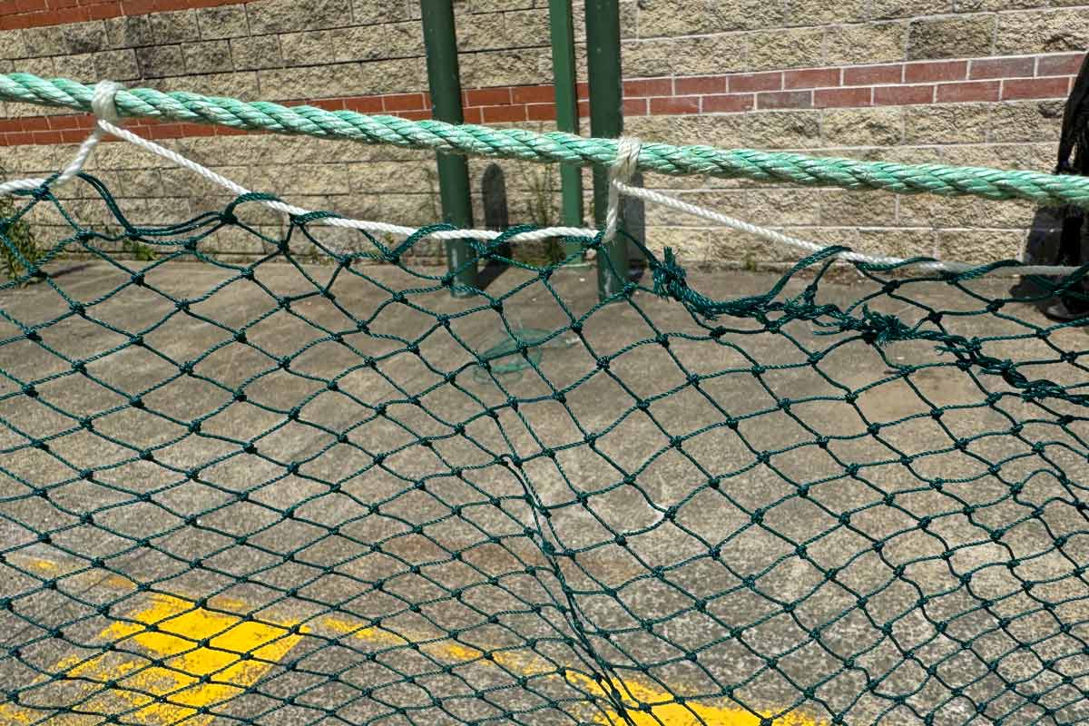 Deluxe Prawn Drag Net: FREE SHIPPING – Haverford