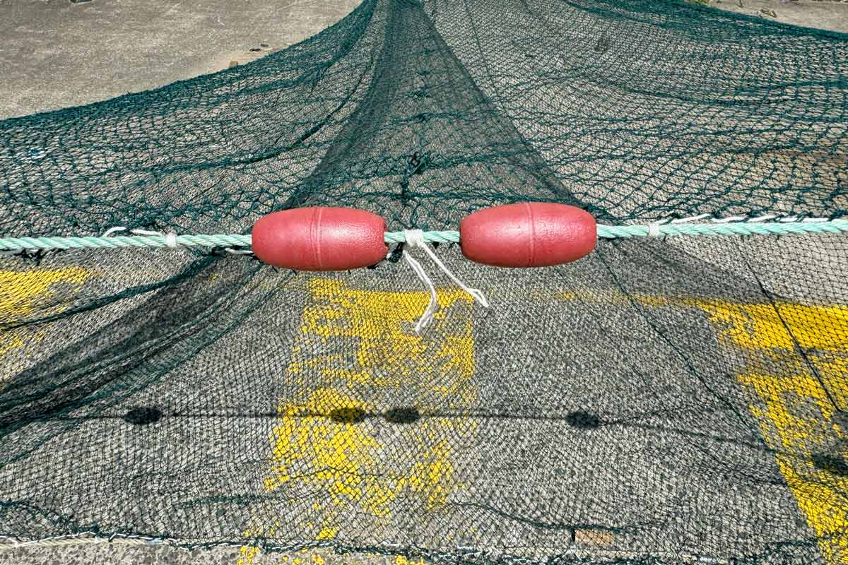 Deluxe Prawn Drag Net: FREE SHIPPING – Haverford