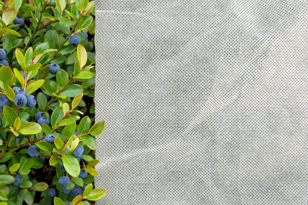 Haverford Plant Frost Protection Cover