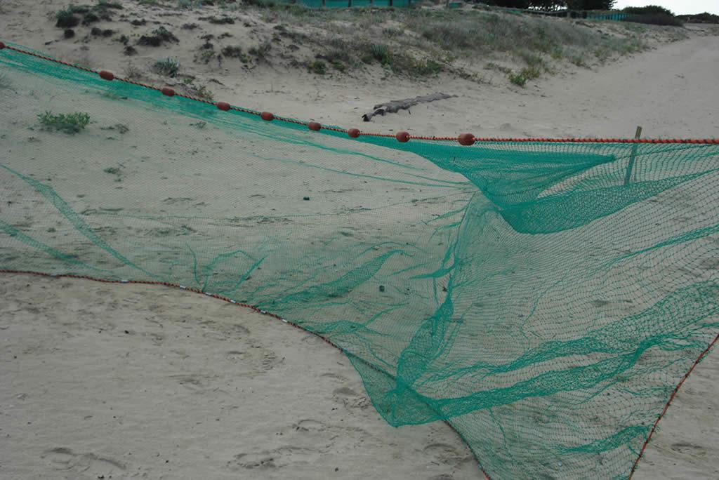 Deluxe Prawn Drag Net: 30mm Mesh Size & Haverford