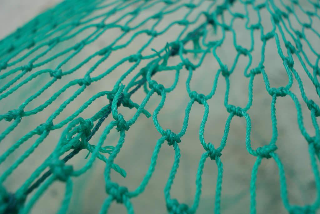 Deluxe Prawn Drag Net FREE SHIPPING Haverford