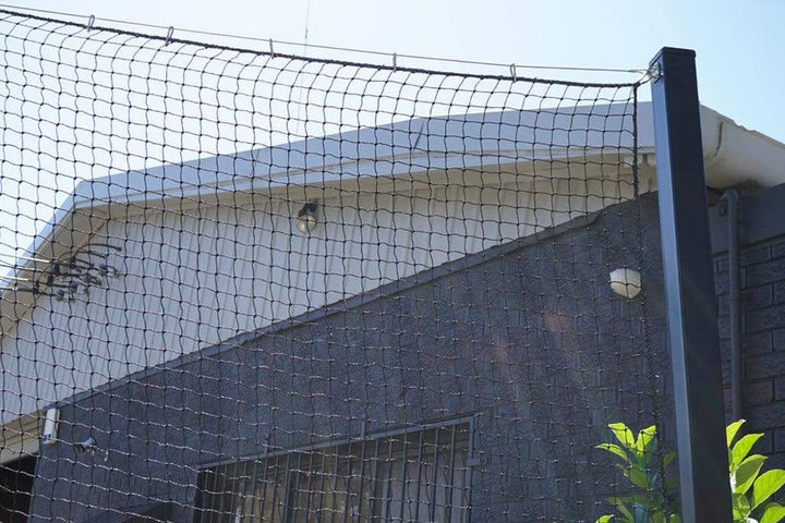 Quatra Sports Netting Net with 6 x 4m Heavy Duty 80mm Net Support Post Baseball / Softball Cage (Open End) 16m x 3.6m